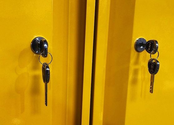 acheter Armoire de stockage de produits chimiques avec dimensions 109x46x123CM, 109x46x165CM et 109x86x165CM pour le stockage de matières dangereuses fabrication en ligne