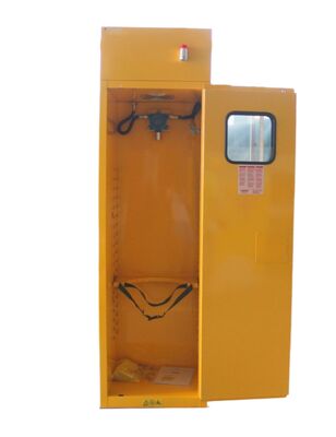 acheter Laboratoires Armoire de stockage de gaz à cylindre unique Solution pratique pour le traitement contrôlé du gaz fabrication en ligne